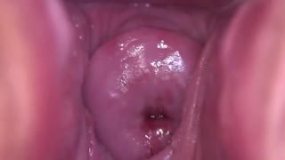 بخورش بکنش و نکش بیرون معامله