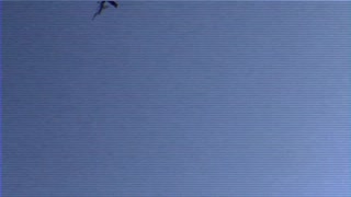 Sandy Sweet Dominates Thrilly's Big Black Couch! Thick MILF Rims and Takes Multiple Creampies in Wild Breeding Frenzy