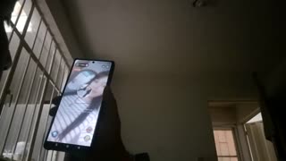 دردشة فيديو مع جميلة صدر كبير مذهلة