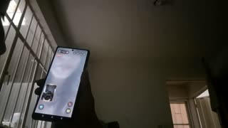 ശ്രദ്ധേയമായ ബിഗ് ടിറ്റ്സ് ബ്യൂട്ടിയുമായി വീഡിയോ ചാറ്റ്