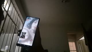 Video čet sa prelepom lepotom velikih grudi