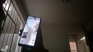 매력적인 큰 가슴 미녀와의 비디오 채팅