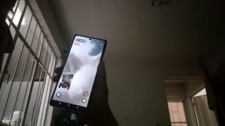 Spletni klepet z osupljivo lepotico z velikimi prsmi