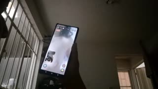 魅力的な巨乳美女とのビデオチャット