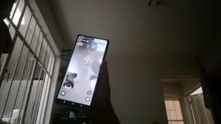 Chat vidéo avec beauté aux gros seins époustouflante