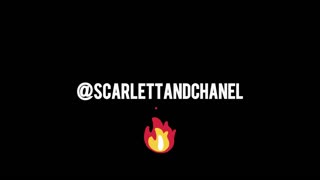 Kan ikke tro det! Dette hus er for tæt på for komfort