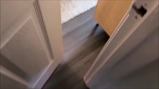 Bare Hænger Ud Når Goth Piger Effy Cutie og Natasha Noel Team Op Med Alex Adams