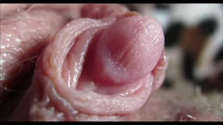 Malakas na Big Clit Orgasm na Nakuhanan ng Malapitan