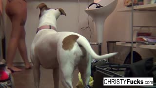 Christy Mack Joins Two Busty Brunette Pornstars Licking Wet Pussies in Threesome