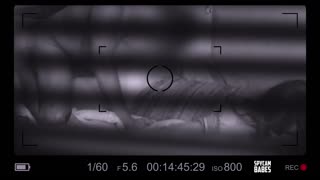 OMG, Ho Catturato il Mio Vicino che Scopa Selvaggiamente una Figa Calda!