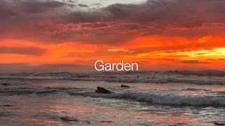 Professionelle Mistress April stellt Pam ihre Sessions vor