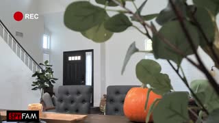 clara trinity begs for her tight wet pussy to get used like a pounding fuck toy