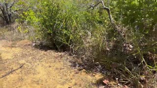 i got caught anal fucking by the sea then public wet blowjob amateur beach!