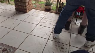 دوستم را گذاشتم همسرش را برای فاک سریع بیرون به اشتراک بگذارد، تماشای نفوذ دوگانه خیلی داغ بود