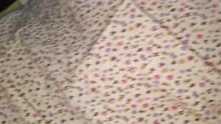 big boobs woman craves hardcore sex with a young stud