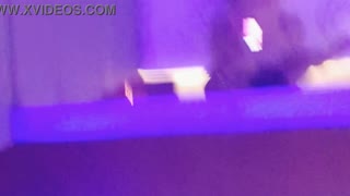 cheating woman blows me on all fours as cuckold husband calls