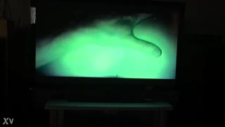 കാൻഡിഡ് ആമേച്ചർ ഗർഫ്രണ്ട് ഡോഗി അനൽ പൗണ്ടിങ്