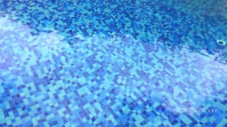 ਮੈਂ ਡੈਨੀਏਲਾ ਮਾਰਗੋਟ ਅਤੇ ਹੇਨੇਸੀ ਨੂੰ ਇੱਕ ਦੂਜੇ ਦੇ ਗੀਲੇ ਹੋਲ ਚੱਟਣ ਵਿੱਚ ਮਸ਼ਗੂਲ ਹਾਂ