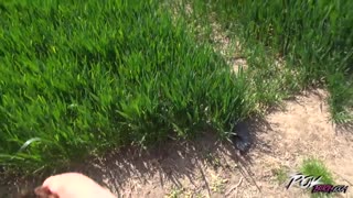 میں اپنے بگ نیچرل ٹٹس کو گیند کے میدان میں ہیمر پر جمپ کرتی ہوں