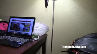 mexican jose and redzilla destroy daisy red in wild ebony ghetto threesome