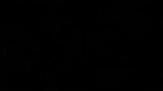 party amateurs hungrily sucking cocks in hd pov