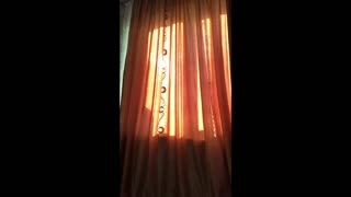 میلف تنهایی سینه‌هاش رو موقع طلوع آفتاب تکون می‌ده