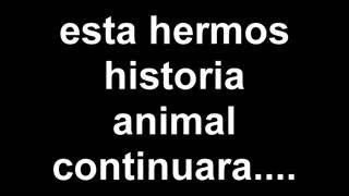 Dana Barzagli狂野3P巨臀巨乳墨西哥拉丁Luna Di Marco