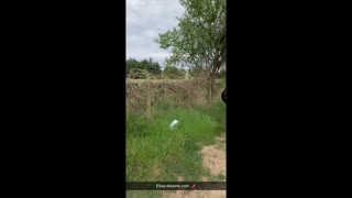 Показування та секс-відео під час секс-челенджу