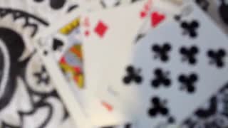 dana barzagli pounds miss roomis in their final lesbian clash