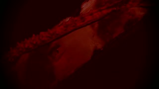 feel the satanic big cock orgy enlightenment in this pmv cumshot mix!