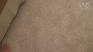 Teen 18+ with big tits gets fucked hard!