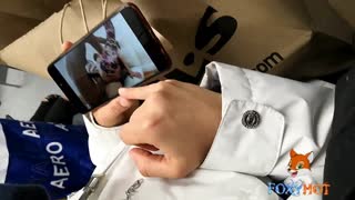 निडर औरत शहर की सड़कों पर गांड चुचियां दिखाती घूमती