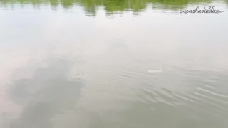 Ей, хочеш подивитися на цю дику десі підлітку 18+ яка торкається себе на рибальському човні?