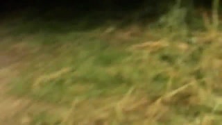 Pervert milf derin boğaza yarrak alırken sertçe idare ediliyor tahrik