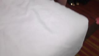 Quay Phía Sau, Jasmine Leigh Lắc Mông Trong 4K