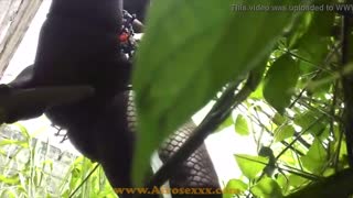 Babe Ebony Cantik Hentam Pussy Basahnya di Luar