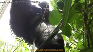 Söpö ebony tyttö paukuttaa märkää pussyään ulkona