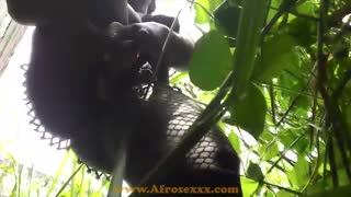 Linda morena ebony golpea su coño mojado al aire libre