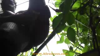 কিউট ইবোনি বেবি তার ভেজা পুসিকে আউটডোরে পাউন্ড করছে