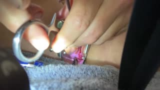 Sadismus-Dynamiken - Pornovideos mit Peitschen-Requisiten und Machtaustausch