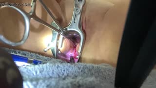 Masochist slave spreads shaved pussy for extreme medical sounding and speculum insertion