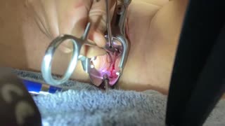 Música - Vibras de Banda Sonora en Películas Porno