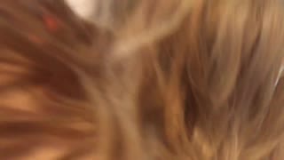 it was an afternoon with two anal queens suzie slut and stellastill sp