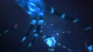 Melanie Monroe s'est-elle vraiment fait baiser sur le tapis par Dan Ferrari dans ce combat de lutte nue ?