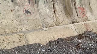 Yo, voir quatre mecs baiser une chaudasse sur la plage ?