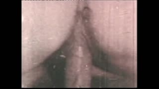 dark lantern entertainment brings 'vintage threesome' with hairy pussy fucking 😍