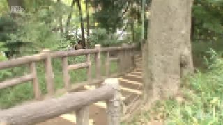 Kazuki Sakura ส่องแสงในฐานะภรรยาเอเชียเซ็กซี่ในปะทะแบบกล้า