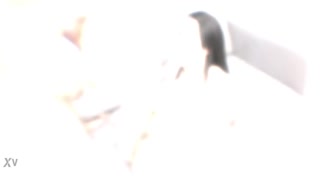 Preplavljen sem ob gledanju Jessy Jey v Intenzivni 3na1 Analni Akciji!