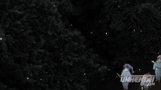 Dev Vajina ve Anal İç Boşaltma