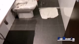 Hey check out horny Latina Africa Danger banging Victor Bloom and his buddy at home